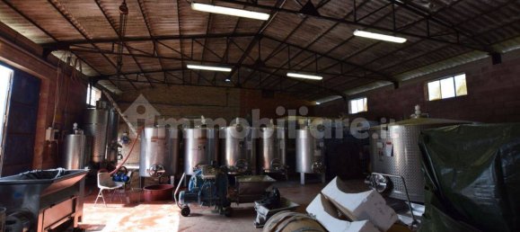 20 bedrooms House in Arezzo, Italy No. 92888 3