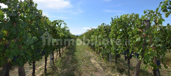 20 bedrooms House in Arezzo, Italy No. 92888 39