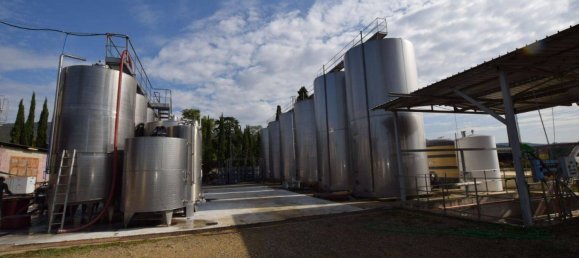 20 bedrooms House in Arezzo, Italy No. 92888 2