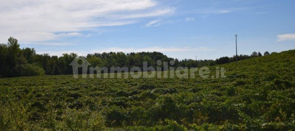 20 bedrooms House in Arezzo, Italy No. 92888 28