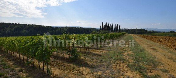 20 bedrooms House in Arezzo, Italy No. 92888 7