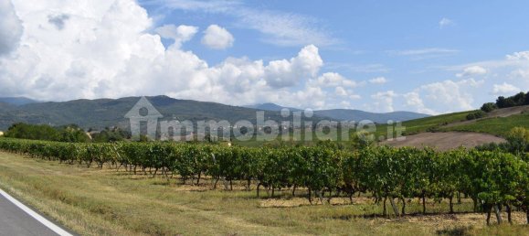 20 bedrooms House in Arezzo, Italy No. 92888 15