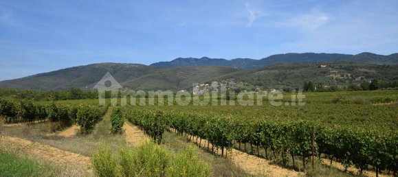 20 bedrooms House in Arezzo, Italy No. 92888 29