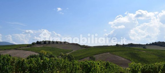 20 bedrooms House in Arezzo, Italy No. 92888 4