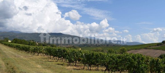 20 bedrooms House in Arezzo, Italy No. 92888 18