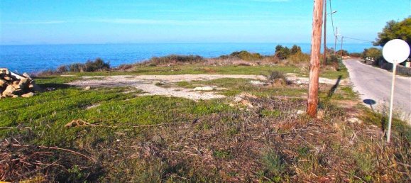  Hotel in Zakynthos, Greece No. 849 3