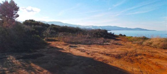  Hotel in Zakynthos, Greece No. 849 9