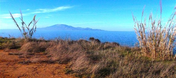  Hotel in Zakynthos, Greece No. 849 8