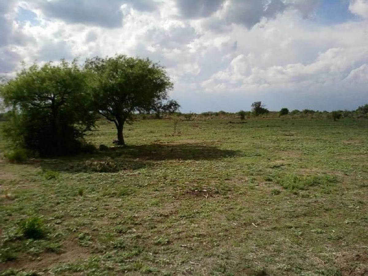 Grundstück in San Luis, Argentina, Nr. 38004