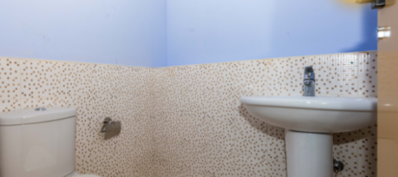 103.2m² Office in Jumeirah Lake Towers, UAE No. 37411 9