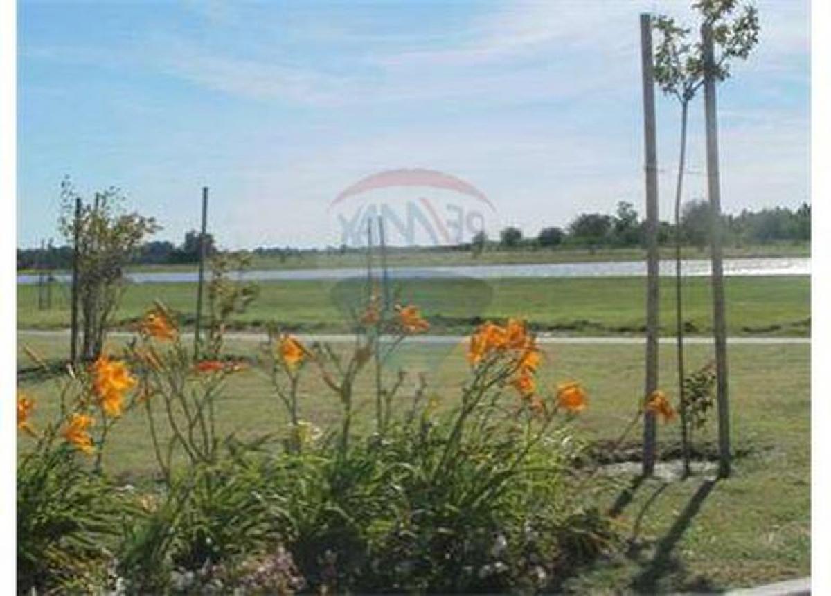 Terrain à San Vicente, Argentina No. 45652