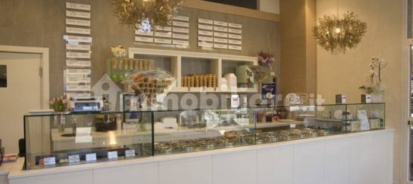 5 rooms Commercial property in Capannori, Italy No. 135110 8