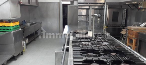 5 rooms Commercial property in Capannori, Italy No. 135110 4