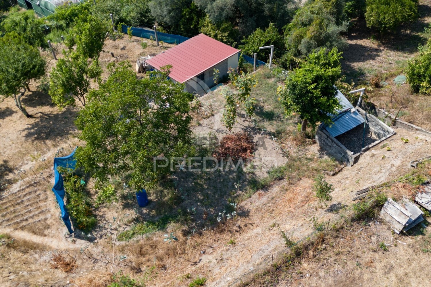  Land in Goaes, Portugal No. 256083