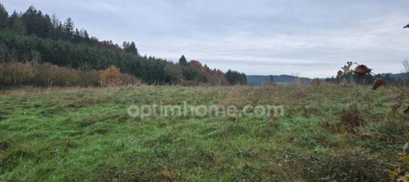 Земельный участок 2911м² в Жибль, Франция № 192732 12