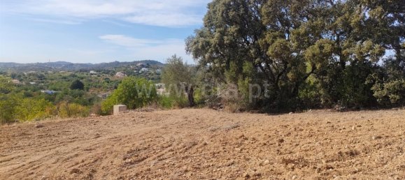 6 bedrooms House in Sao Bras de Alportel, Portugal No. 48845 8