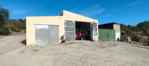 6 bedrooms House in Sao Bras de Alportel, Portugal No. 48845 11