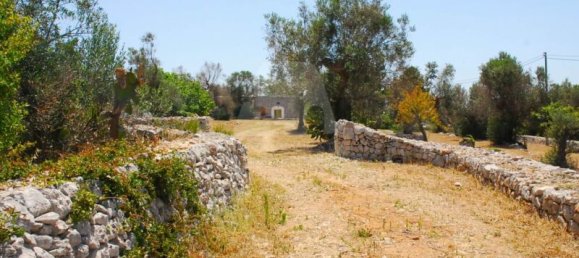 5 Schlafzimmer Haus in Salve, Italy, Nr. 321709 28