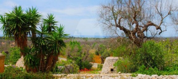 5 Schlafzimmer Haus in Salve, Italy, Nr. 321709 29