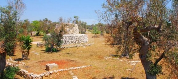 5 Schlafzimmer Haus in Salve, Italy, Nr. 321709 11