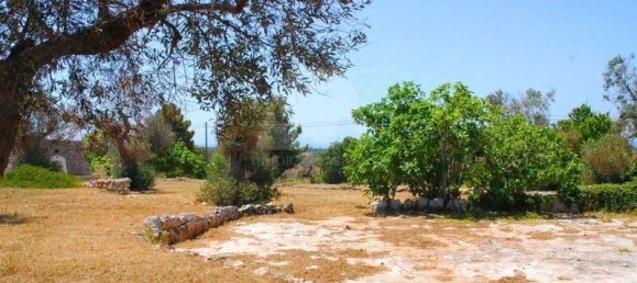 5 Schlafzimmer Haus in Salve, Italy, Nr. 321709 4