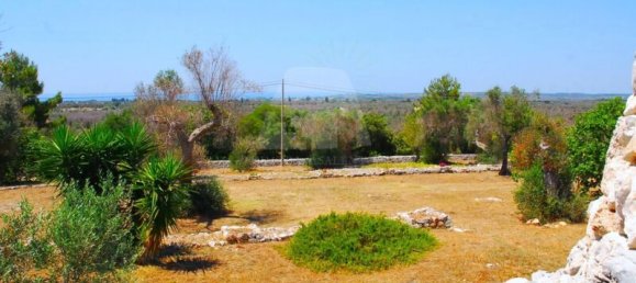 5 Schlafzimmer Haus in Salve, Italy, Nr. 321709 3