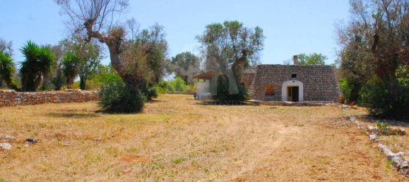 5 Schlafzimmer Haus in Salve, Italy, Nr. 321709 9