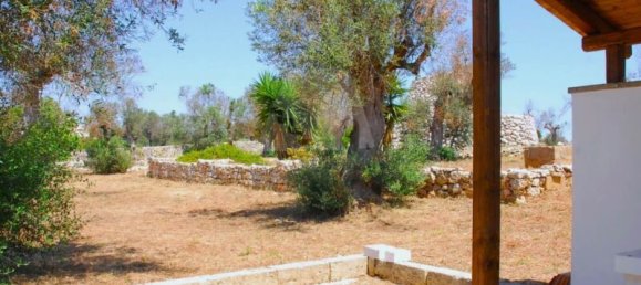 5 Schlafzimmer Haus in Salve, Italy, Nr. 321709 17