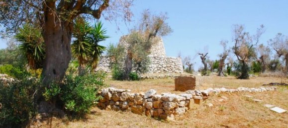 5 Schlafzimmer Haus in Salve, Italy, Nr. 321709 21