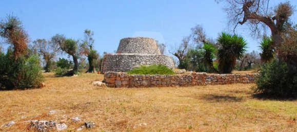 5 Schlafzimmer Haus in Salve, Italy, Nr. 321709 10