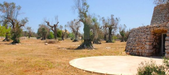 5 Schlafzimmer Haus in Salve, Italy, Nr. 321709 22