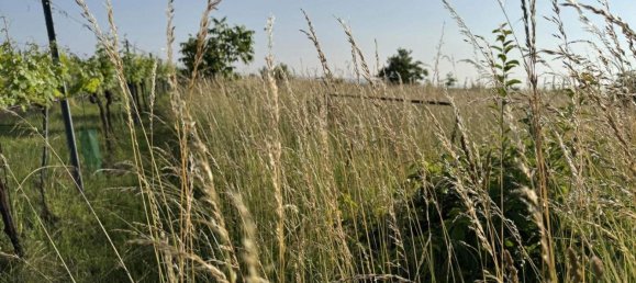  Land in Fels am Wagram, Austria No. 147612 5