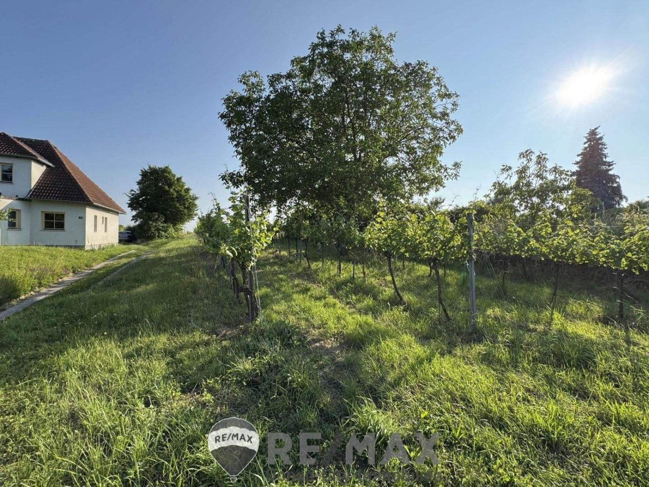  Land in Fels am Wagram, Austria No. 147612