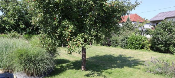 4-salle Maison à Pasching, Austria No. 243656 5