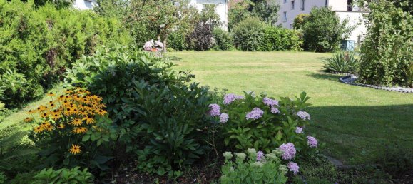 4-salle Maison à Pasching, Austria No. 243656 8