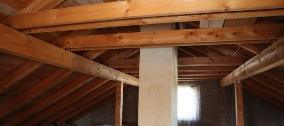 4-salle Maison à Pasching, Austria No. 243656 14