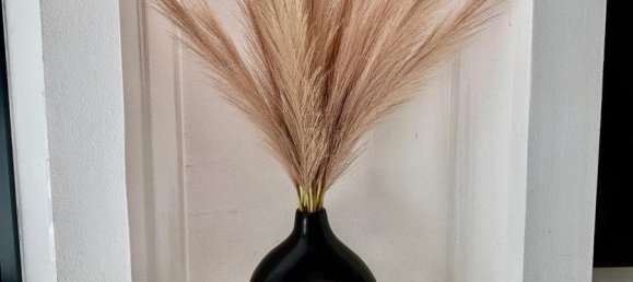 3 غرف نوم فيلا في Carcassonne, France رقم 293581 6