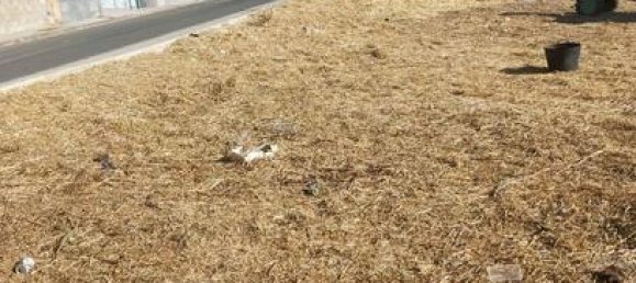 قطعة أرض في Granada, Spain 538متر مربع رقم 134787 3