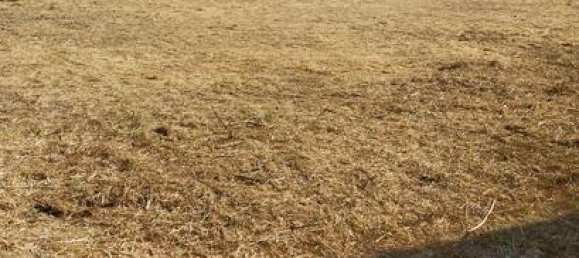 قطعة أرض في Granada, Spain 538متر مربع رقم 134787 4