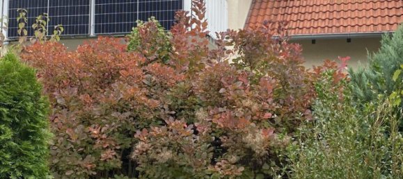 3 rooms Duplex in Bamberg, Germany No. 4893 15