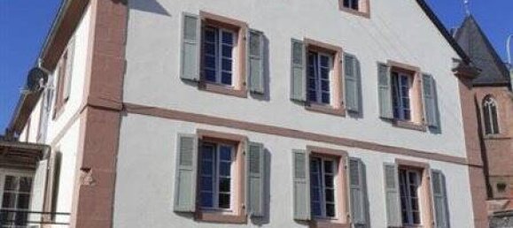 9 rooms House in Zweibrucken, Germany No. 104732 2