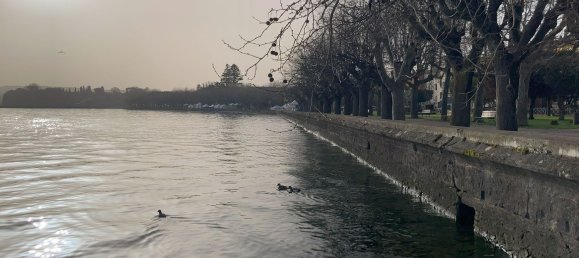 Casa de 3 divisões em Marta, Italy N.º 140975 15