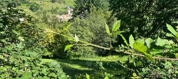 Terrain à Munster, France No. 220607 3