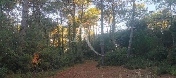 Terreno en Saint-Jean-de-Monts, France 553 m² No. 239478 5