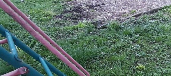 Moradia em banda T5 em Ortenaukreis, Germany N.º 33119 6