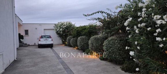 Вилла с 4 спальнями в Алерия, Франция № 300268 7