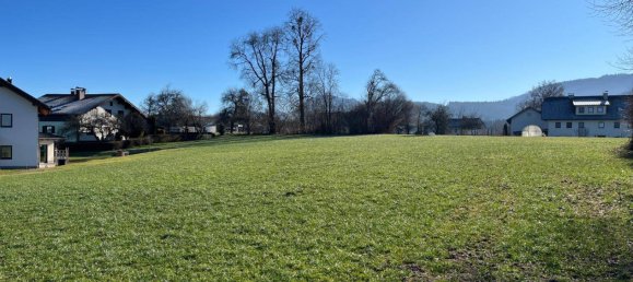  Land in Regau, Austria No. 144223 4