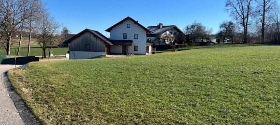  Land in Regau, Austria No. 144223 2