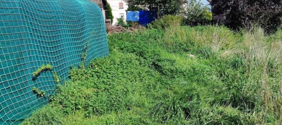 3 bedrooms House in Rolbing, France No. 80562 8