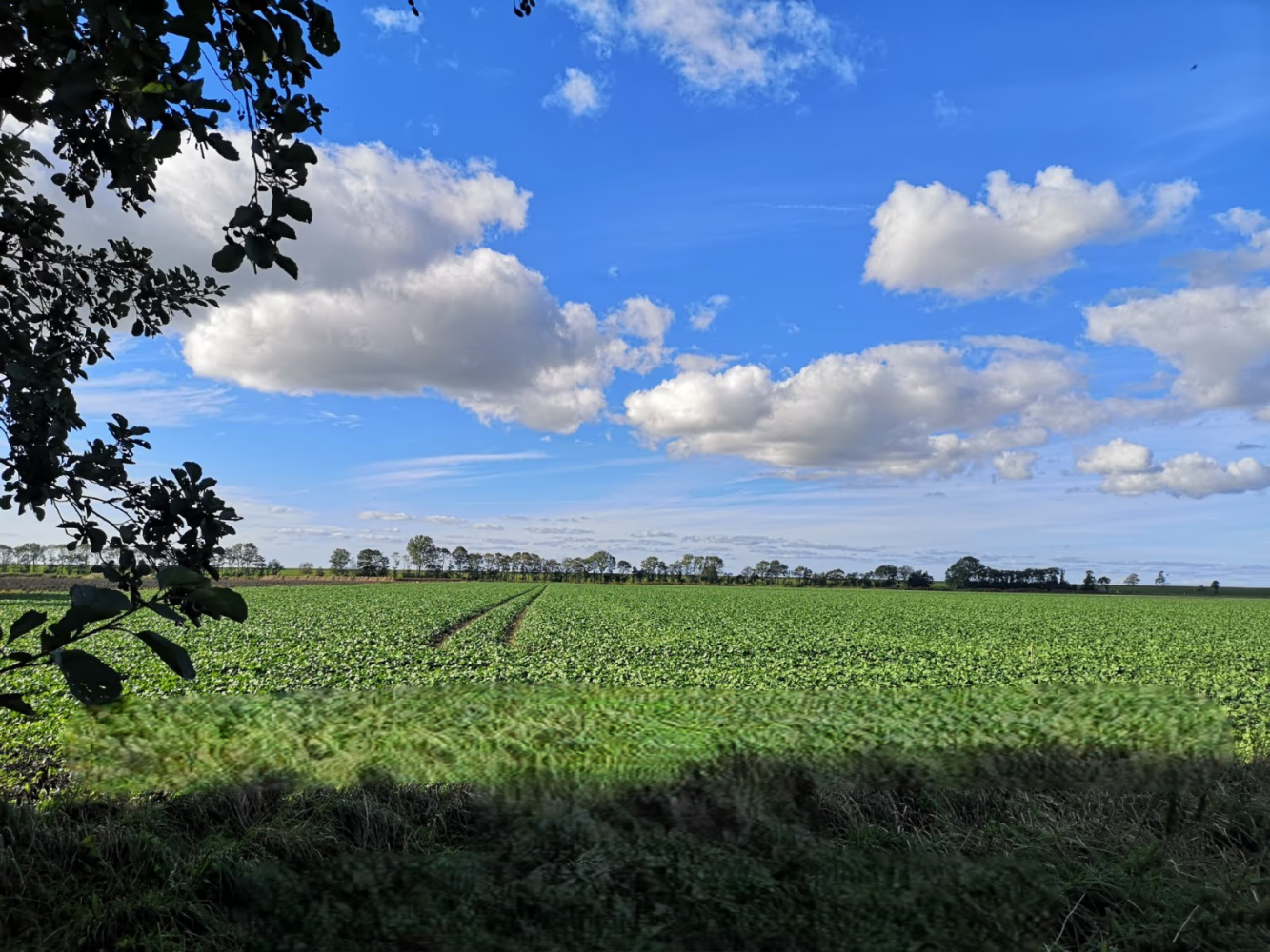 Grundstück in Aurich, Germany, Nr. 324739